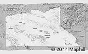 Gray Panoramic Map of Graham County