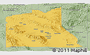 Savanna Style Panoramic Map of Graham County