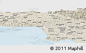 Classic Style Panoramic Map of ZIP code 90066