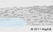 Silver Style Panoramic Map of ZIP code 90211