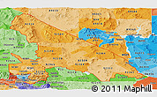Political Shades Panoramic Map of ZIP codes starting with 923