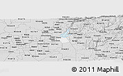 Silver Style Panoramic Map of ZIP code 95630