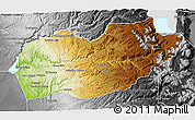 Physical 3D Map of El Dorado County, desaturated