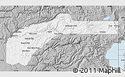 Gray Map of Nevada County