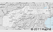 Silver Style Map of Nevada County