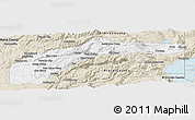 Classic Style Panoramic Map of Nevada County