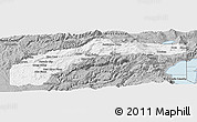 Gray Panoramic Map of Nevada County