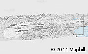 Silver Style Panoramic Map of Nevada County