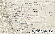 Classic Style 3D Map of ZIP code 80010