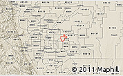 Shaded Relief 3D Map of ZIP code 80010