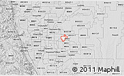 Silver Style 3D Map of ZIP code 80010