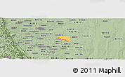 Savanna Style Panoramic Map of ZIP code 80011