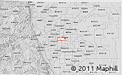 Silver Style 3D Map of ZIP code 80204