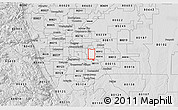 Silver Style 3D Map of ZIP code 80231