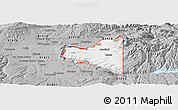 Gray Panoramic Map of ZIP code 81415