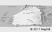 Gray Panoramic Map of Costilla County