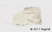 Shaded Relief Panoramic Map of Costilla County, cropped outside