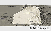 Shaded Relief Panoramic Map of Costilla County, darken