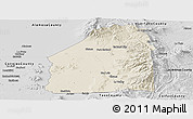 Shaded Relief Panoramic Map of Costilla County, desaturated