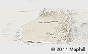 Shaded Relief Panoramic Map of Costilla County, lighten