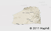 Shaded Relief Panoramic Map of Costilla County, single color outside
