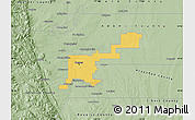 Savanna Style Map of Denver County