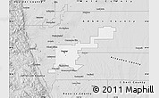 Silver Style Map of Denver County
