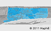Political Shades Panoramic Map of Connecticut, desaturated