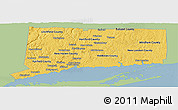 Savanna Style Panoramic Map of Connecticut, single color outside