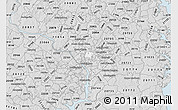 Silver Style Map of ZIP code 20011