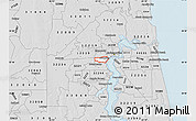 Silver Style Map of ZIP code 32205