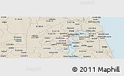 Classic Style Panoramic Map of ZIP code 32205