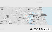 Silver Style Panoramic Map of ZIP code 32205