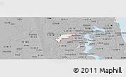 Gray Panoramic Map of ZIP code 32221