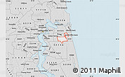 Silver Style Map of ZIP code 32224