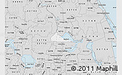 Silver Style Map of ZIP code 32771