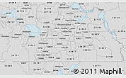 Silver Style 3D Map of ZIP code 32801