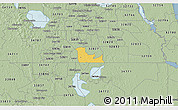 Savanna Style 3D Map of ZIP code 32824