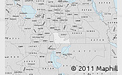 Silver Style Map of ZIP code 32824