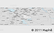 Silver Style Panoramic Map of ZIP code 32824
