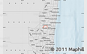 Silver Style Map of ZIP code 33313