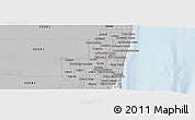 Gray Panoramic Map of ZIP code 33313