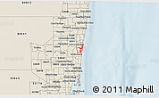 Classic Style 3D Map of ZIP code 33316