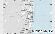 Silver Style Map of ZIP code 33463
