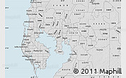 Silver Style Map of ZIP code 33602
