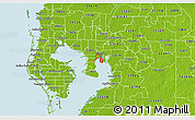 Physical 3D Map of ZIP code 33606