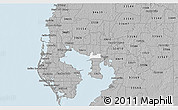 Gray 3D Map of ZIP code 33607