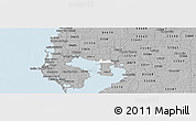 Gray Panoramic Map of ZIP code 33607