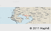 Shaded Relief Panoramic Map of ZIP code 33607