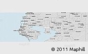 Silver Style Panoramic Map of ZIP code 33607